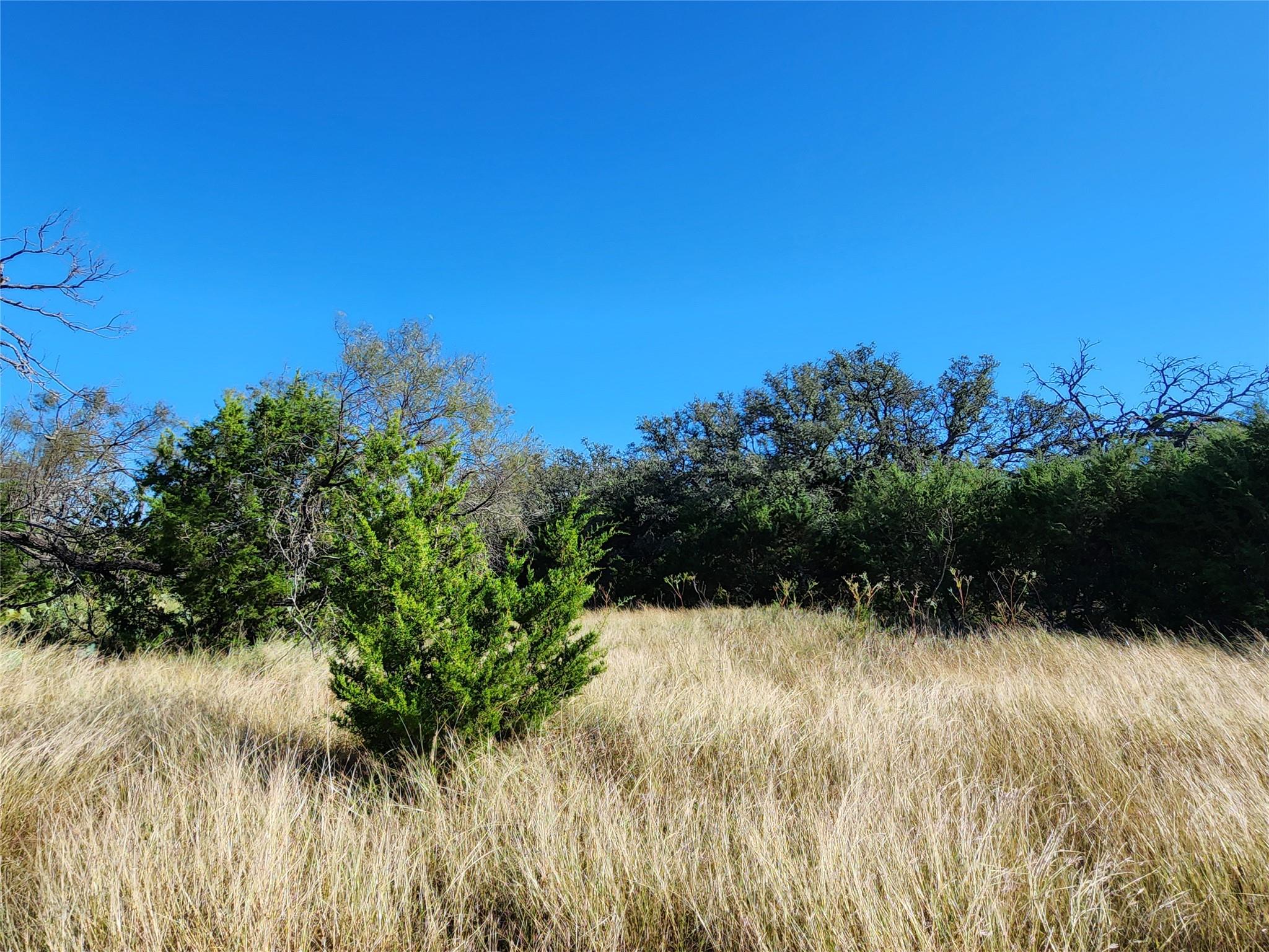 Lot 73 Shin Oak Drive Lampasas TX 76550