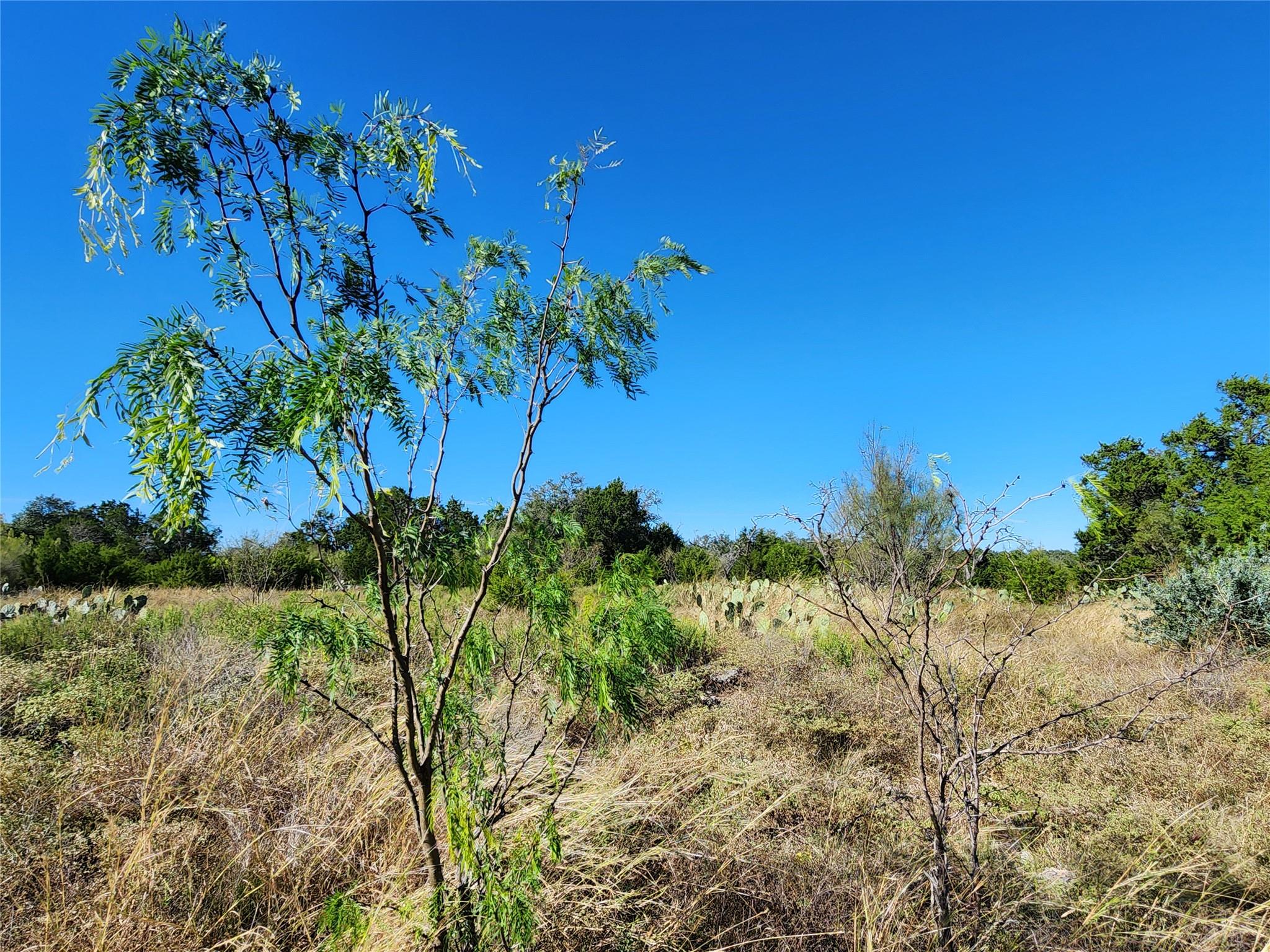 Lot 73 Shin Oak Drive Lampasas TX 76550