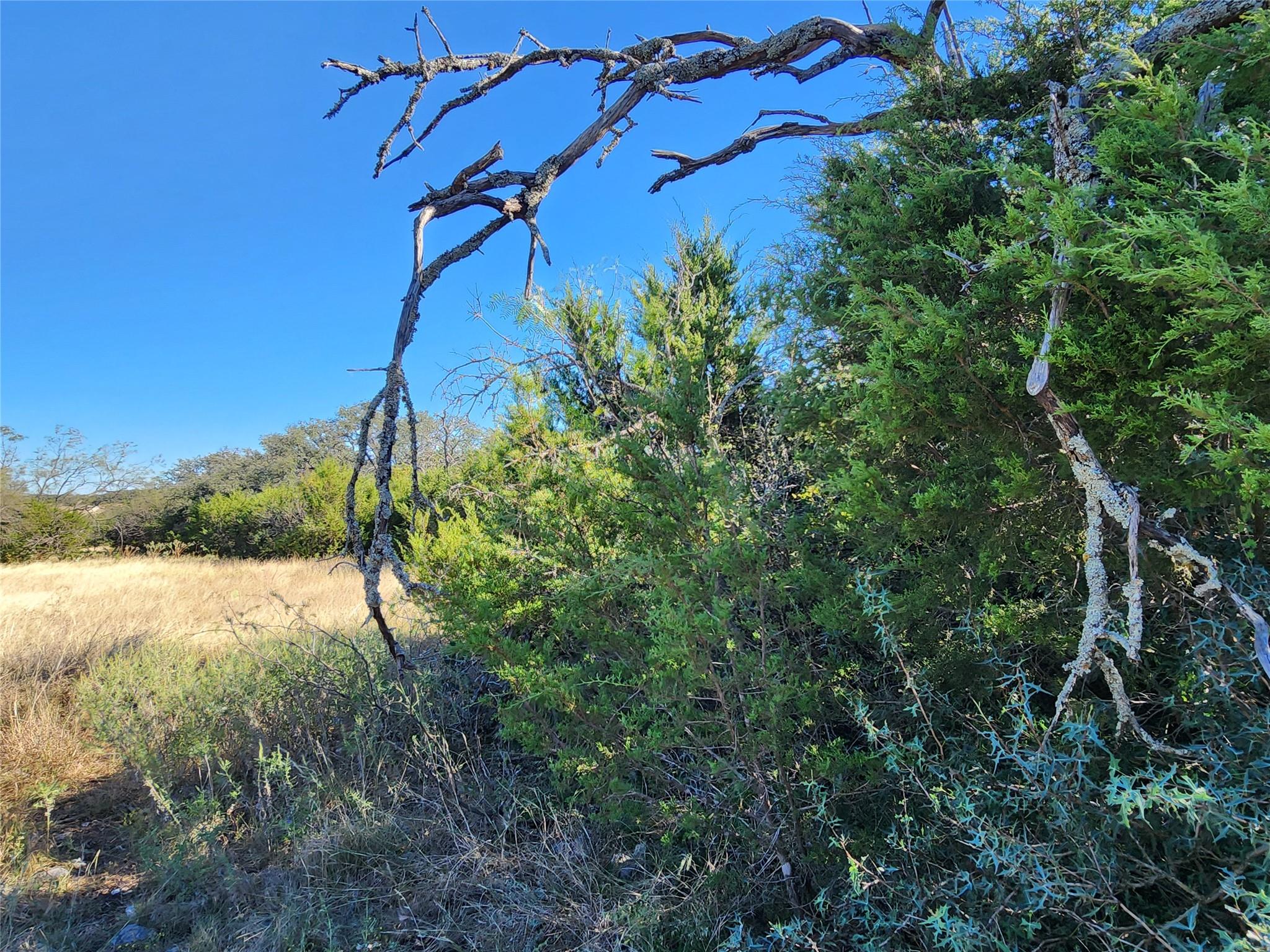 Lot 73 Shin Oak Drive Lampasas TX 76550