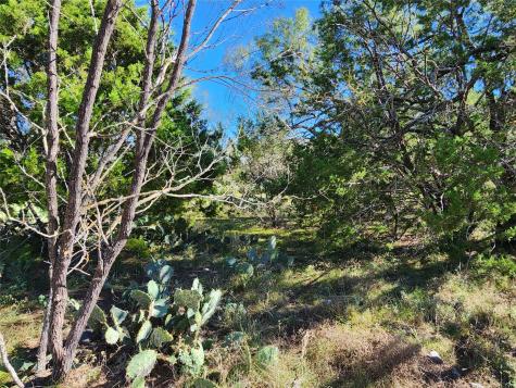 Lot 73 Shin Oak Drive Lampasas TX 76550