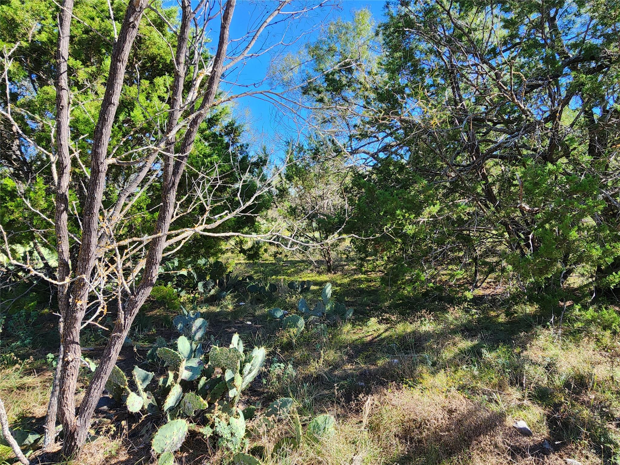 Lot 73 Shin Oak Drive Lampasas TX 76550