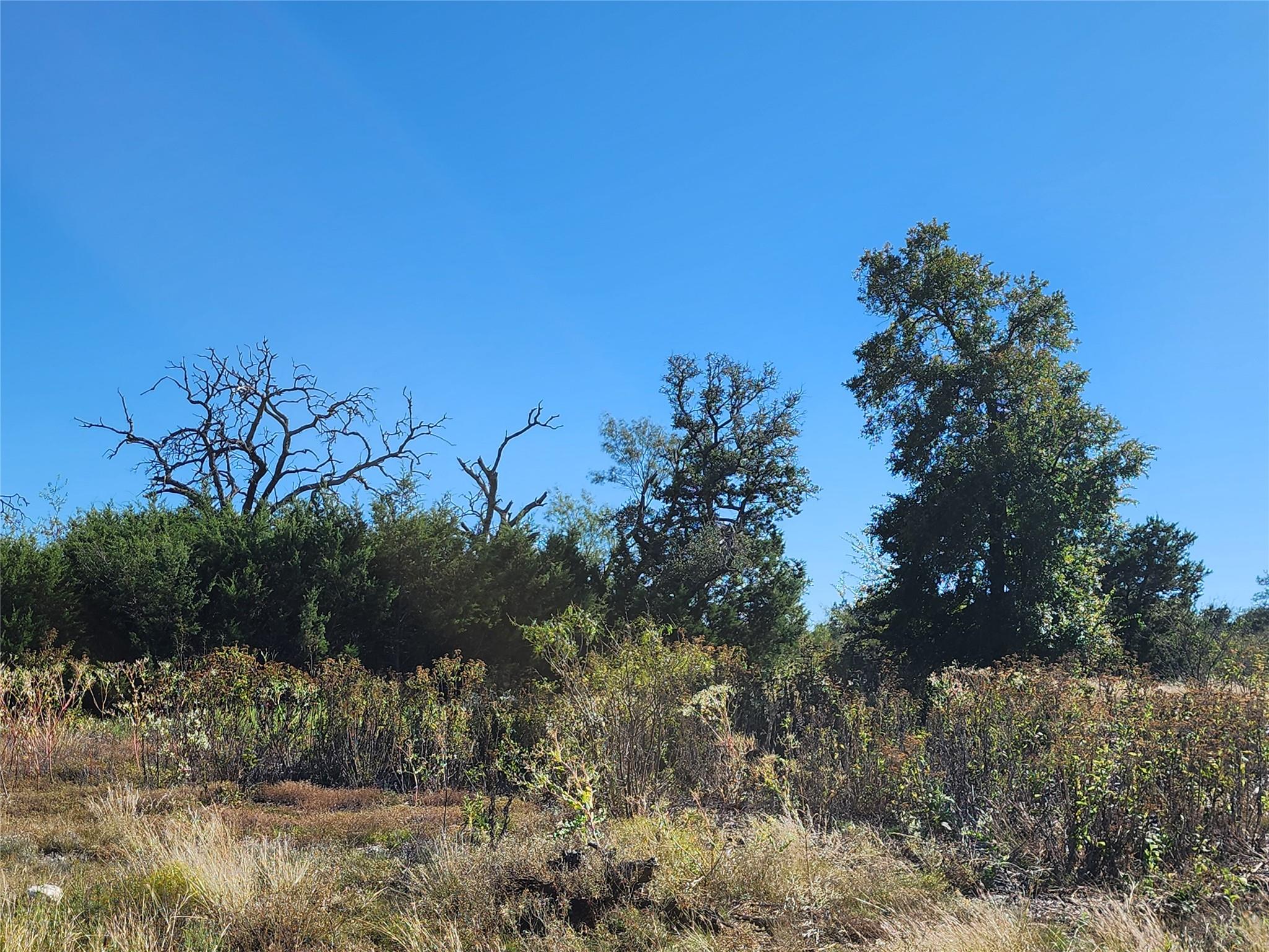 Lot 73 Shin Oak Drive Lampasas TX 76550