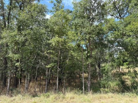 103 & 105 W Kikipua Lane Bastrop TX 78602