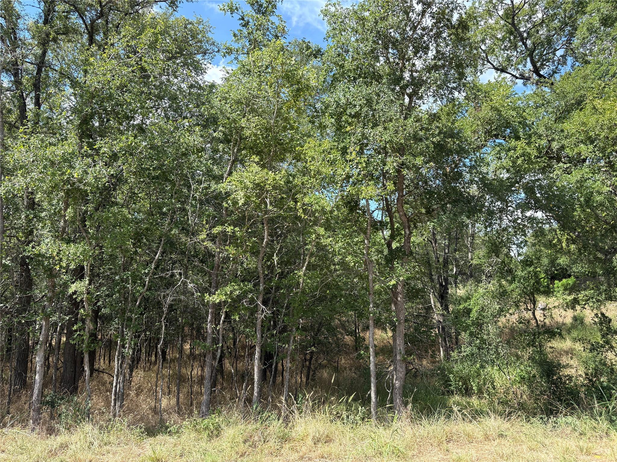 103 & 105 W Kikipua Lane Bastrop TX 78602