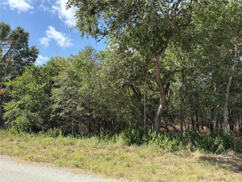 103 & 105 W Kikipua Lane Bastrop TX 78602