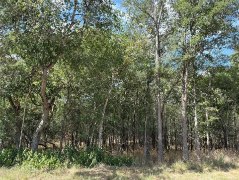 103 & 105 W Kikipua Lane Bastrop TX 78602