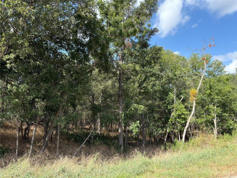 103 & 105 W Kikipua Lane Bastrop TX 78602