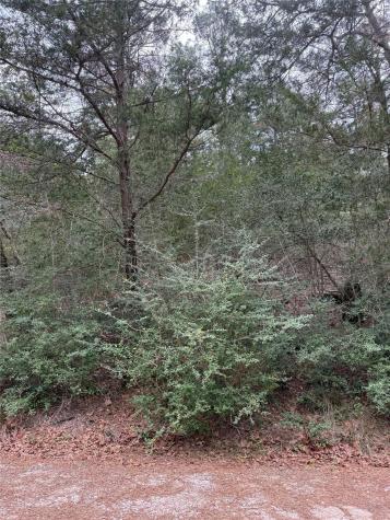 Lot 1428 Keeau Court Bastrop TX 78602