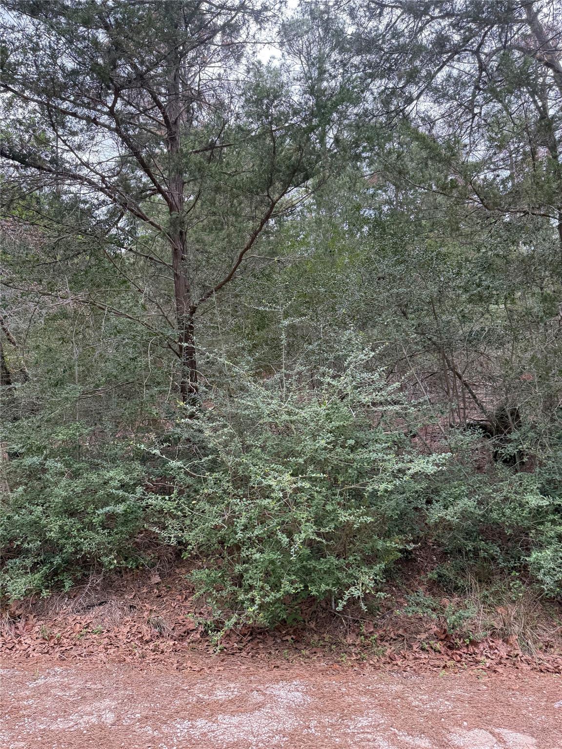 Lot 1428 Keeau Court Bastrop TX 78602