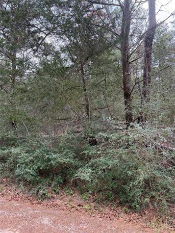 Lot 1428 Keeau Court Bastrop TX 78602