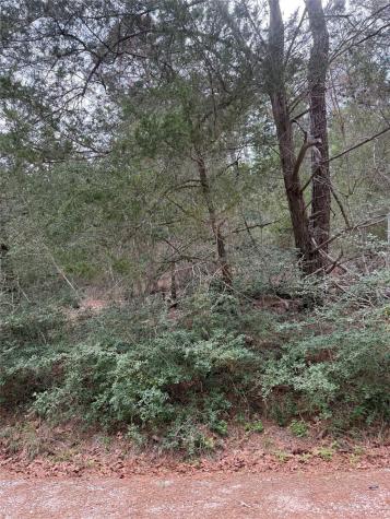 Lot 1428 Keeau Court Bastrop TX 78602