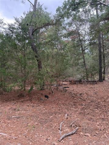 Lot 1428 Keeau Court Bastrop TX 78602