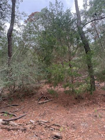 Lot 1428 Keeau Court Bastrop TX 78602