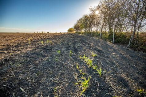 14914 Svenska Road Coupland TX 78615
