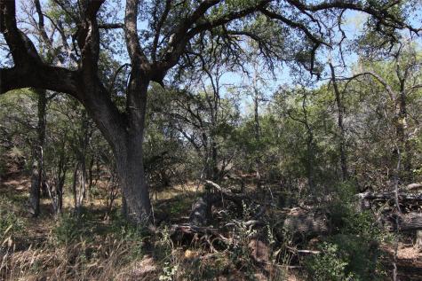 Lot 78 Laurel Wood Court Spicewood TX 78669