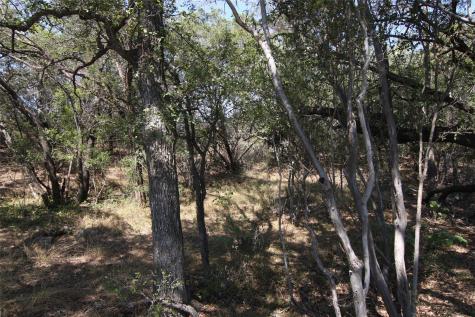 Lot 78 Laurel Wood Court Spicewood TX 78669