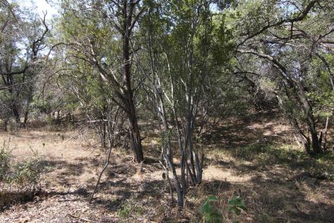 Lot 78 Laurel Wood Court Spicewood TX 78669
