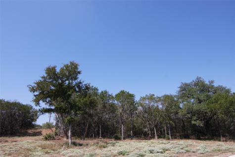 Lot 78 Laurel Wood Court Spicewood TX 78669