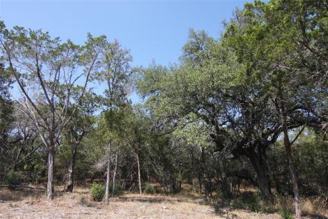 Lot 78 Laurel Wood Court Spicewood TX 78669
