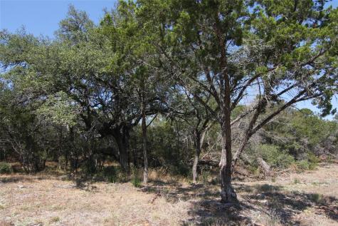 Lot 78 Laurel Wood Court Spicewood TX 78669