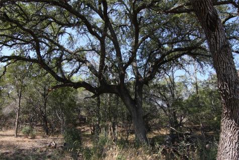 Lot 78 Laurel Wood Court Spicewood TX 78669
