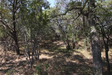 Lot 78 Laurel Wood Court Spicewood TX 78669