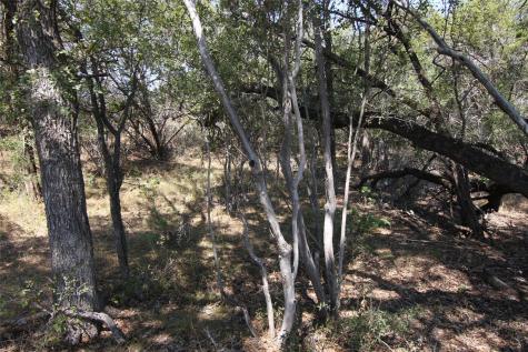 Lot 78 Laurel Wood Court Spicewood TX 78669