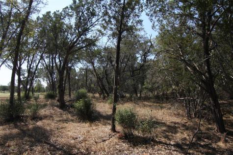 Lot 78 Laurel Wood Court Spicewood TX 78669