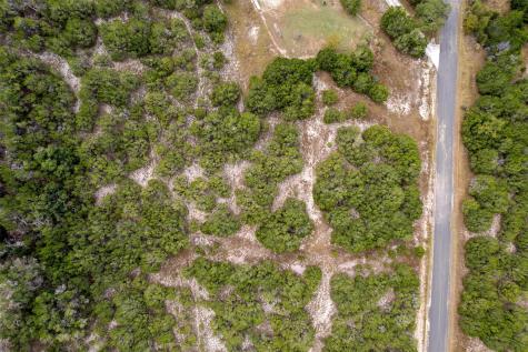 113 Woodhollow Drive Bertram TX 78605