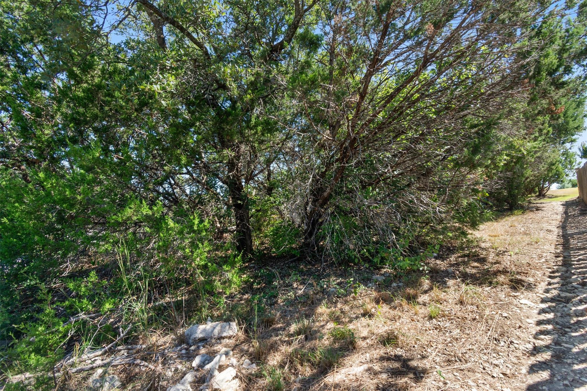 15225 Dave Drive Austin TX 78734