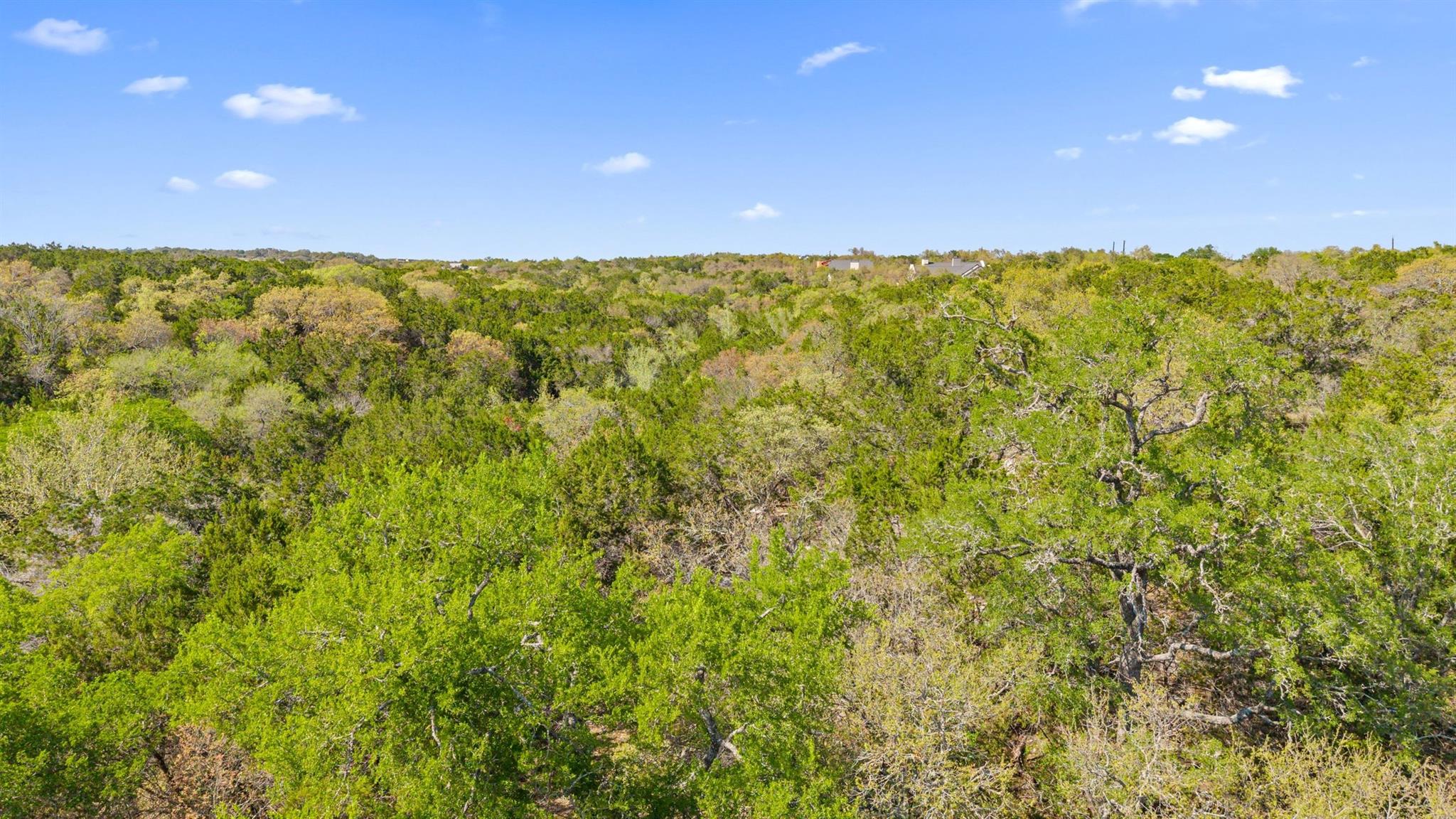 15407 Fitzhugh Road Dripping Springs TX 78620