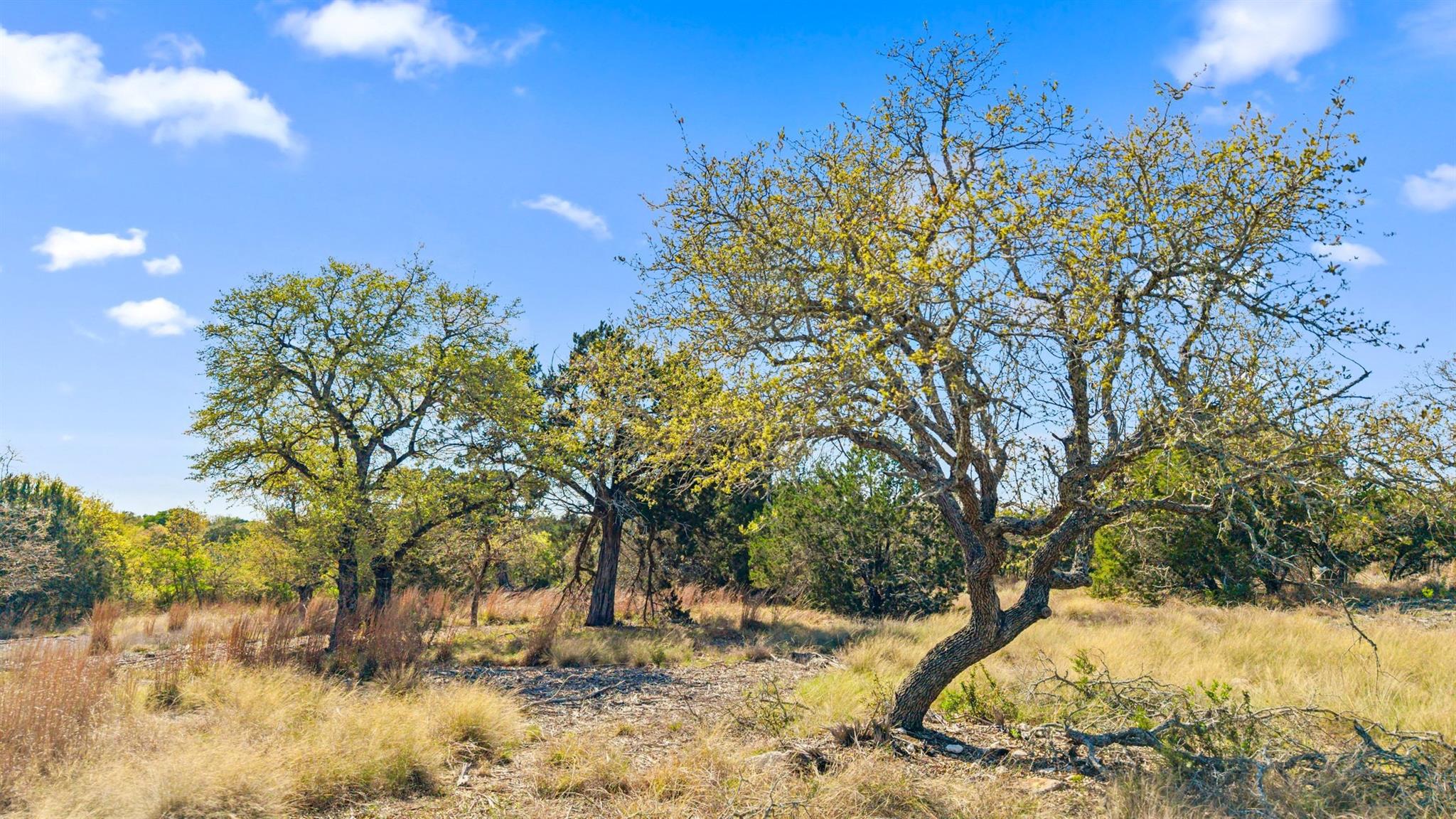 15407 Fitzhugh Road Dripping Springs TX 78620
