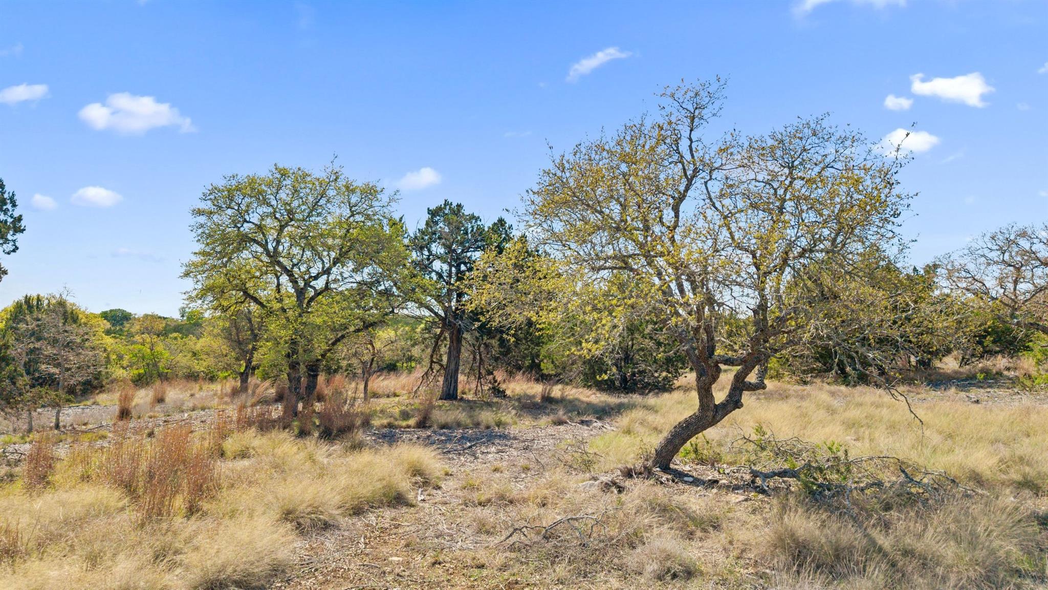 15407 Fitzhugh Road Dripping Springs TX 78620