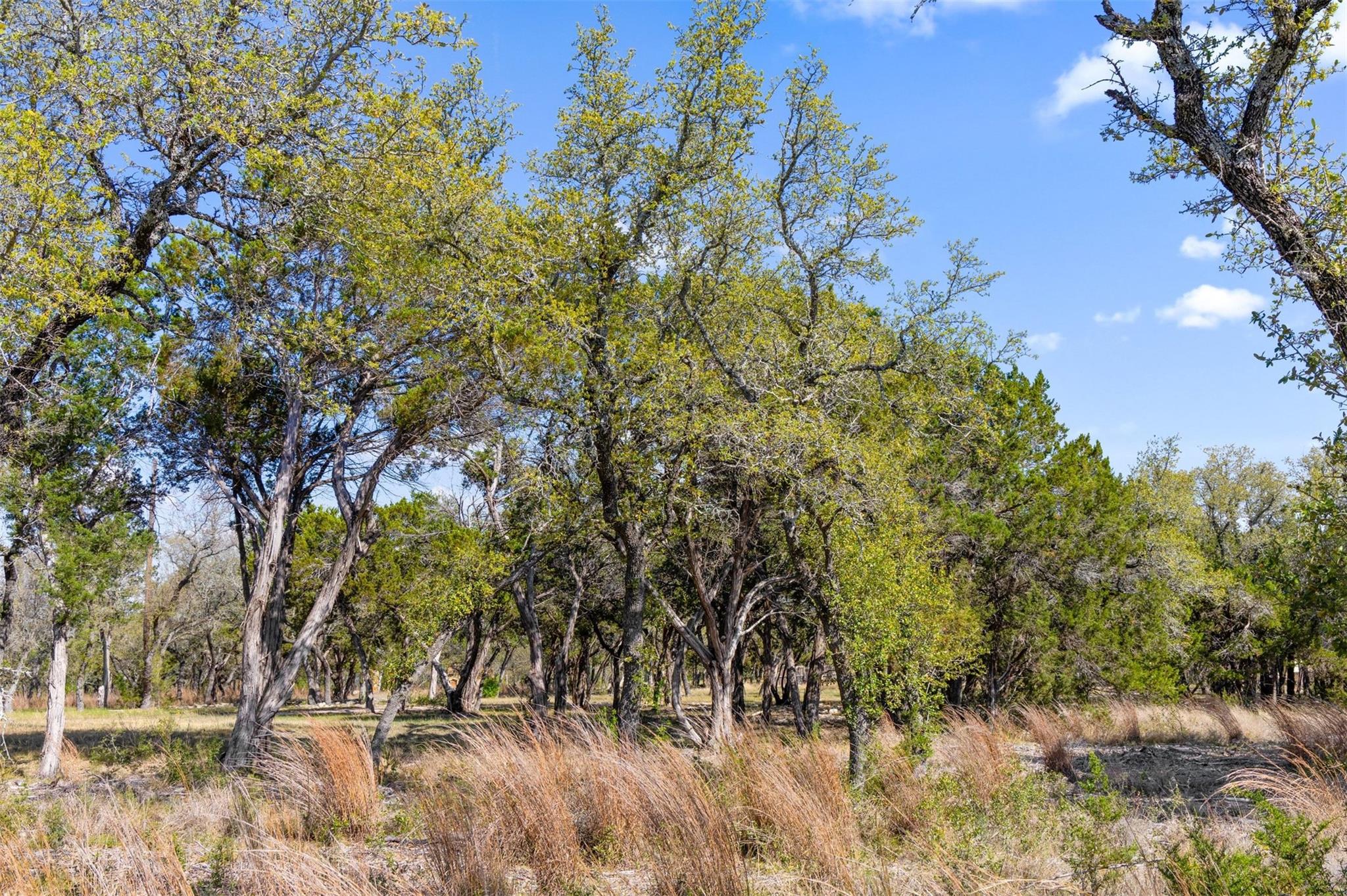 15407 Fitzhugh Road Dripping Springs TX 78620