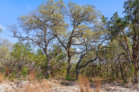 15407 Fitzhugh Road Dripping Springs TX 78620