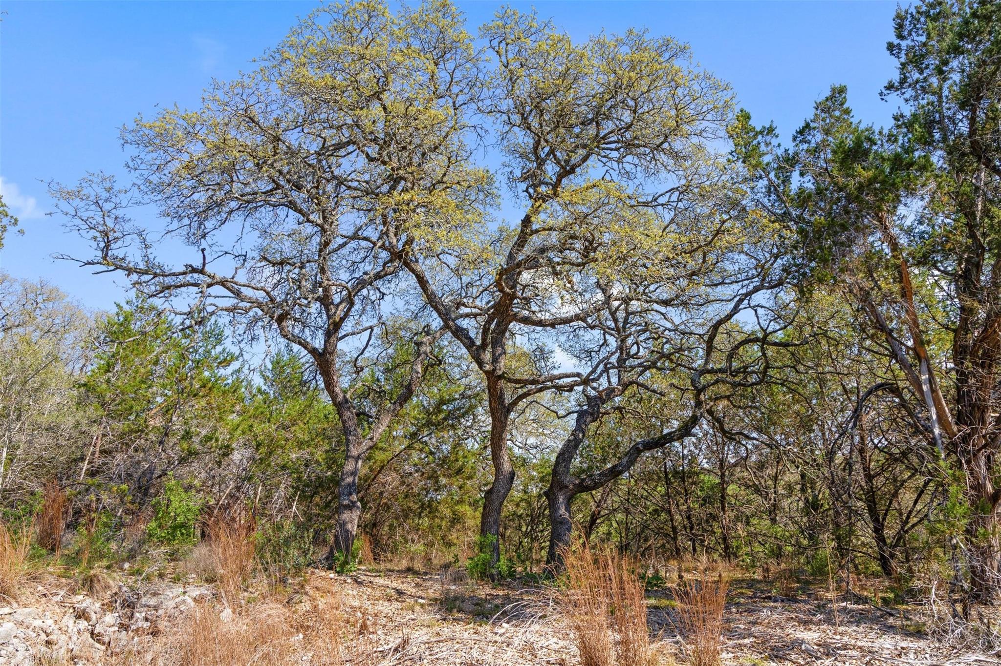 15407 Fitzhugh Road Dripping Springs TX 78620