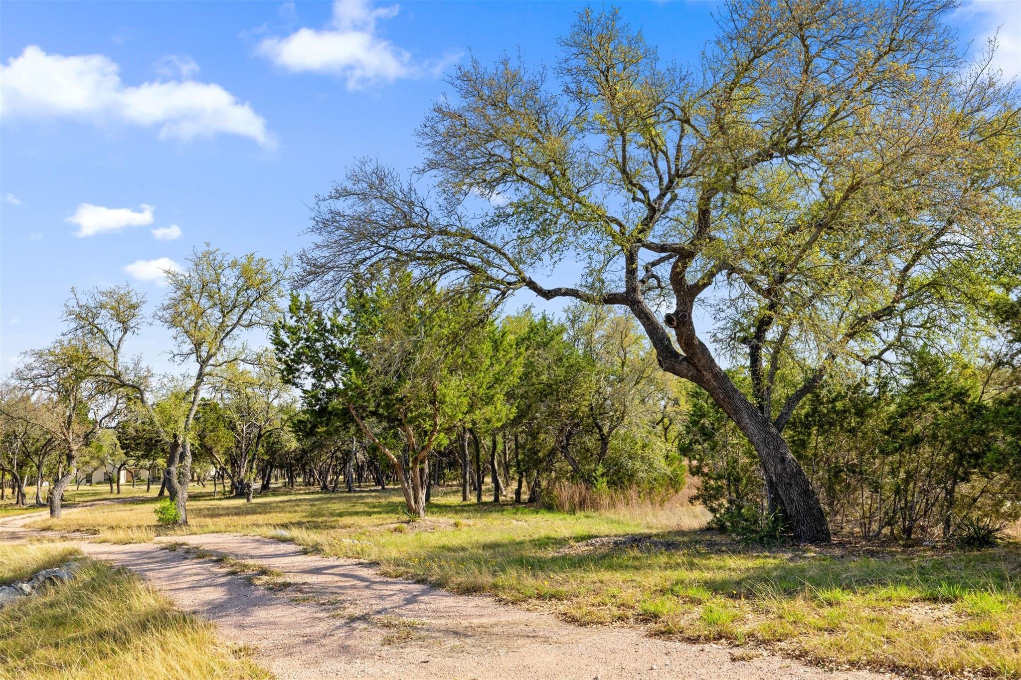 15407 Fitzhugh Road Dripping Springs TX 78620