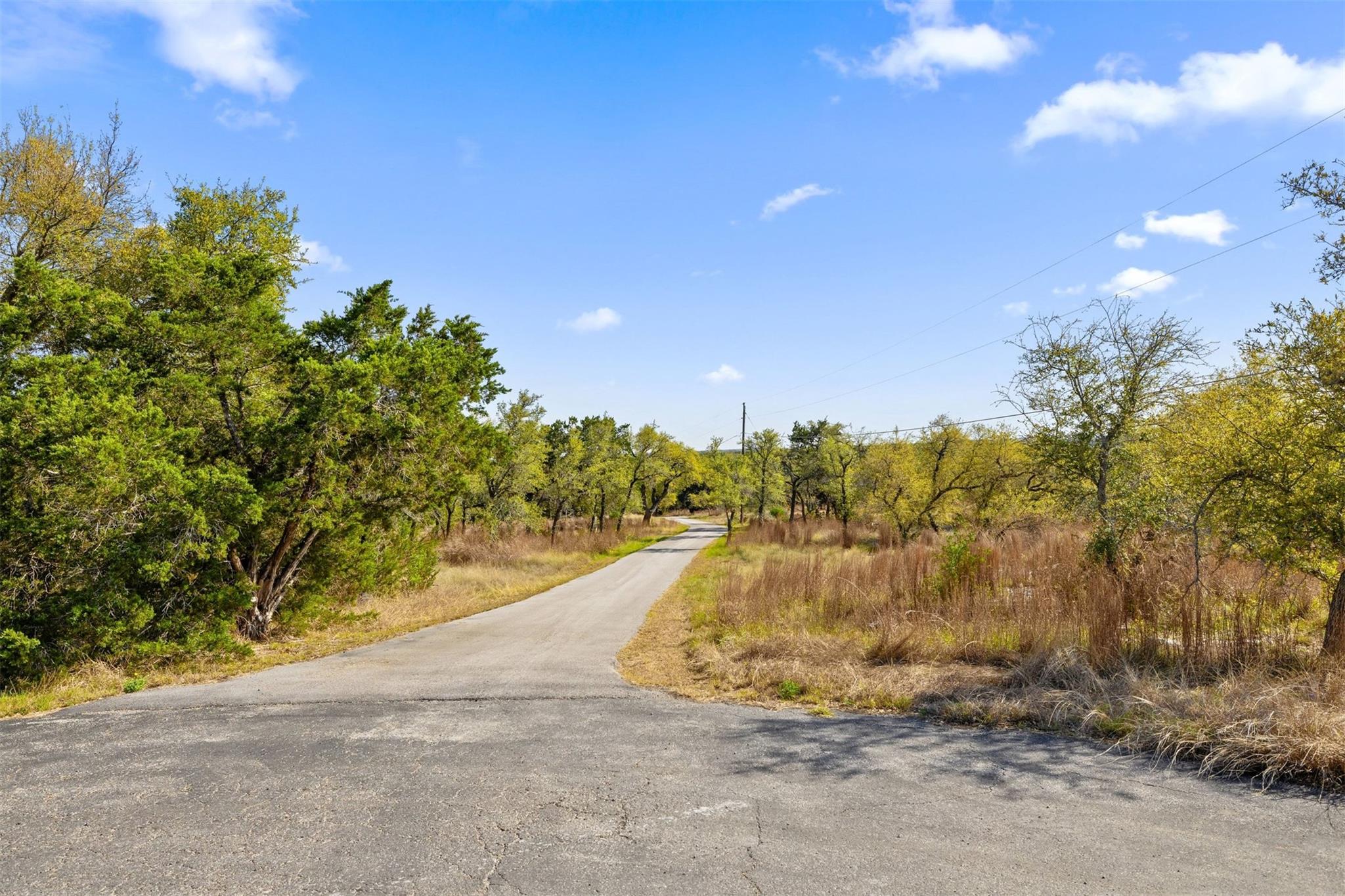 15407 Fitzhugh Road Dripping Springs TX 78620
