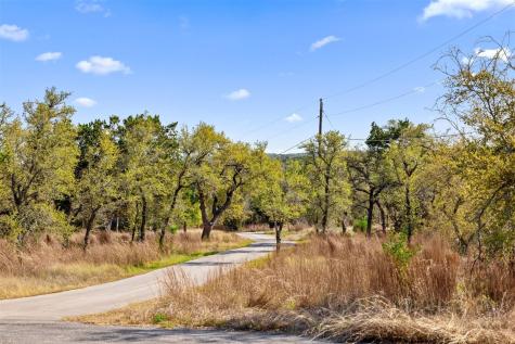 15407 Fitzhugh Road Dripping Springs TX 78620