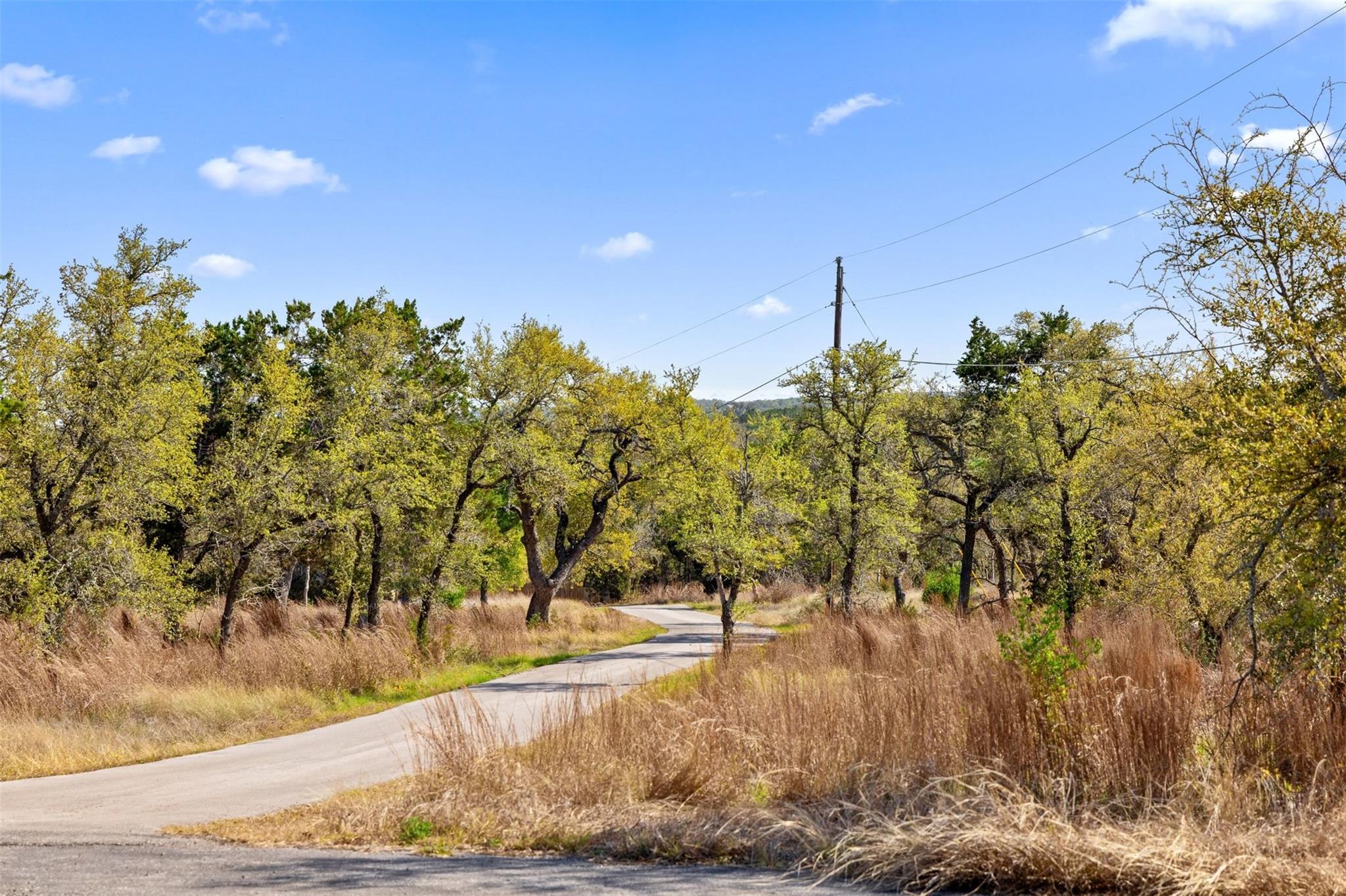 15407 Fitzhugh Road Dripping Springs TX 78620