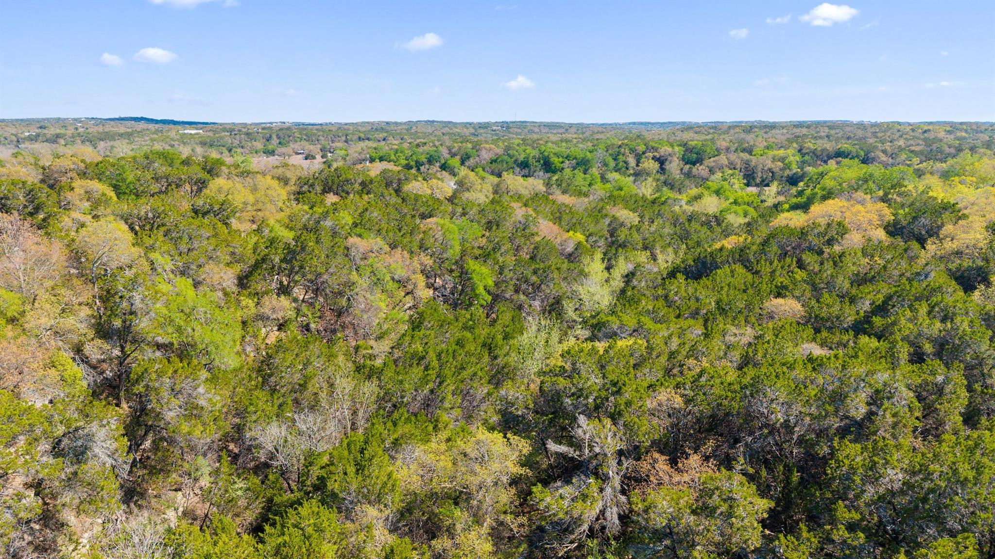 15407 Fitzhugh Road Dripping Springs TX 78620