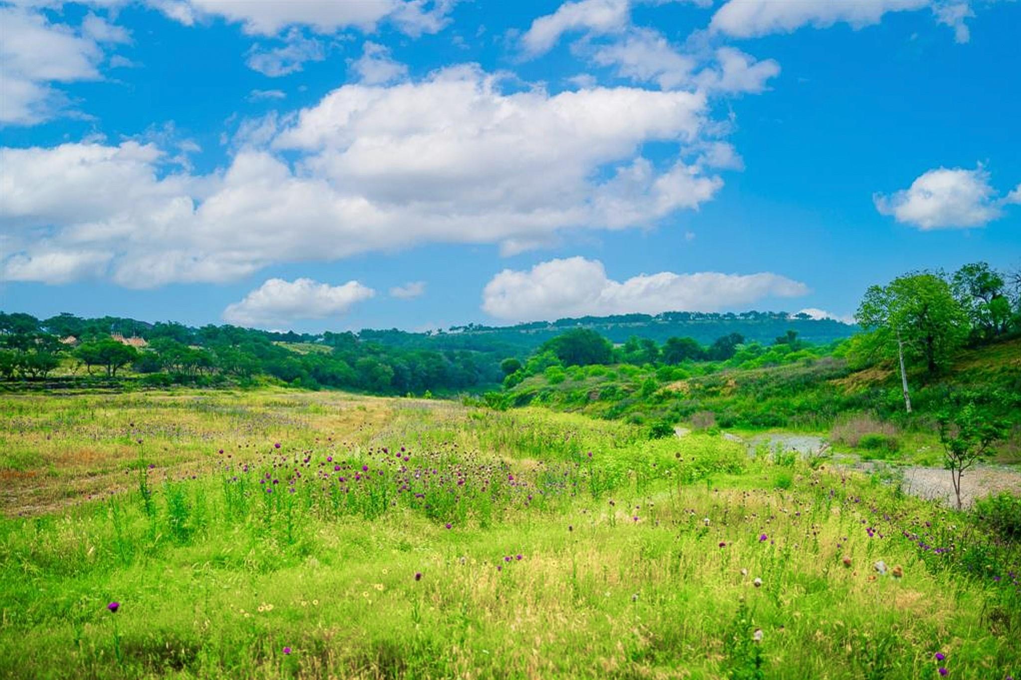 1761 Paradise Parkway Canyon Lake TX 78133