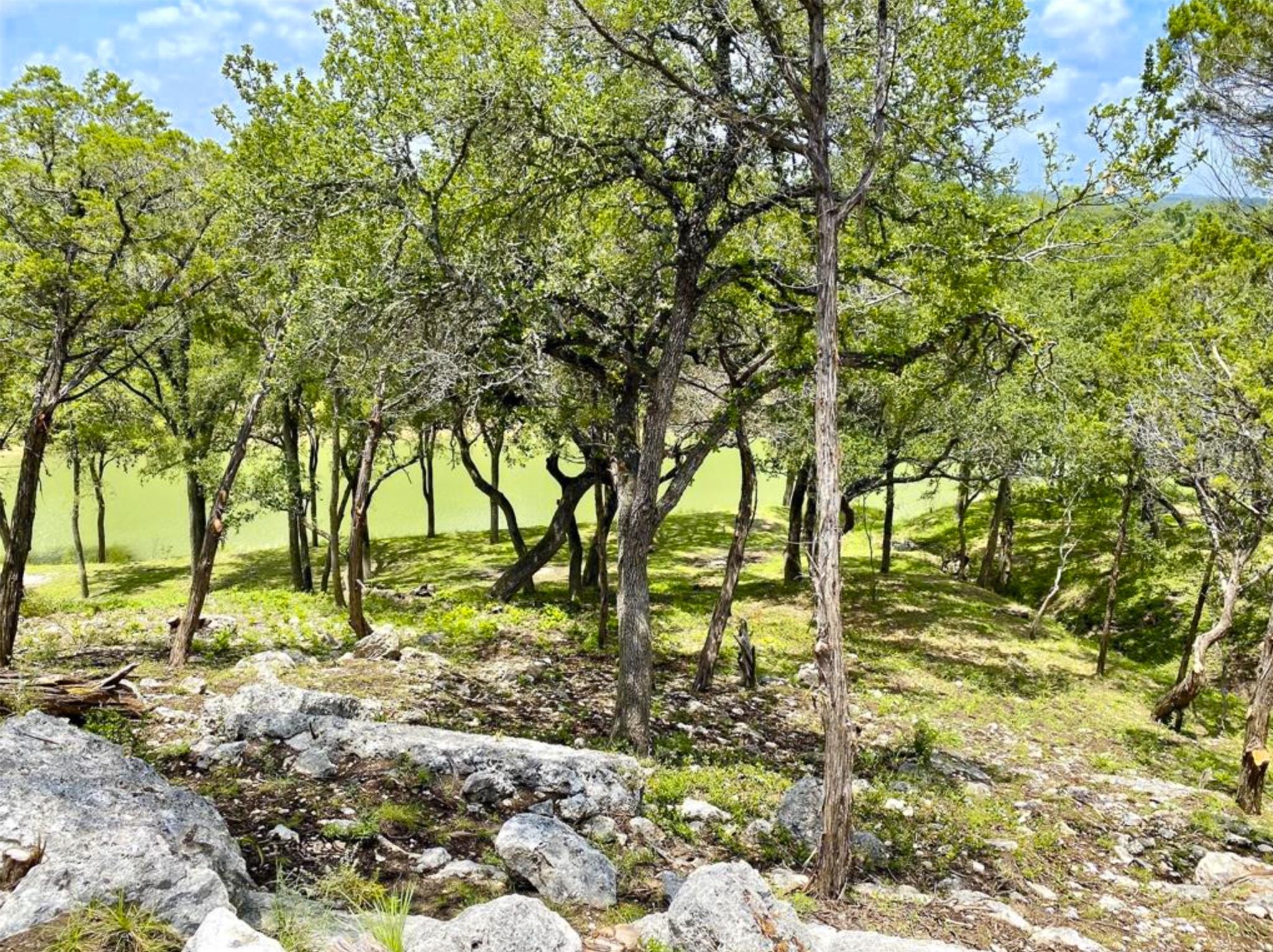 1761 Paradise Parkway Canyon Lake TX 78133