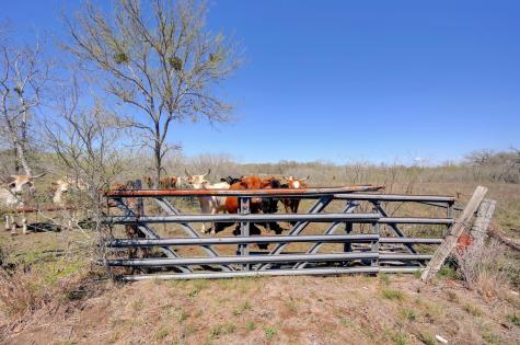 000 Fm 2814 Waelder TX 78959