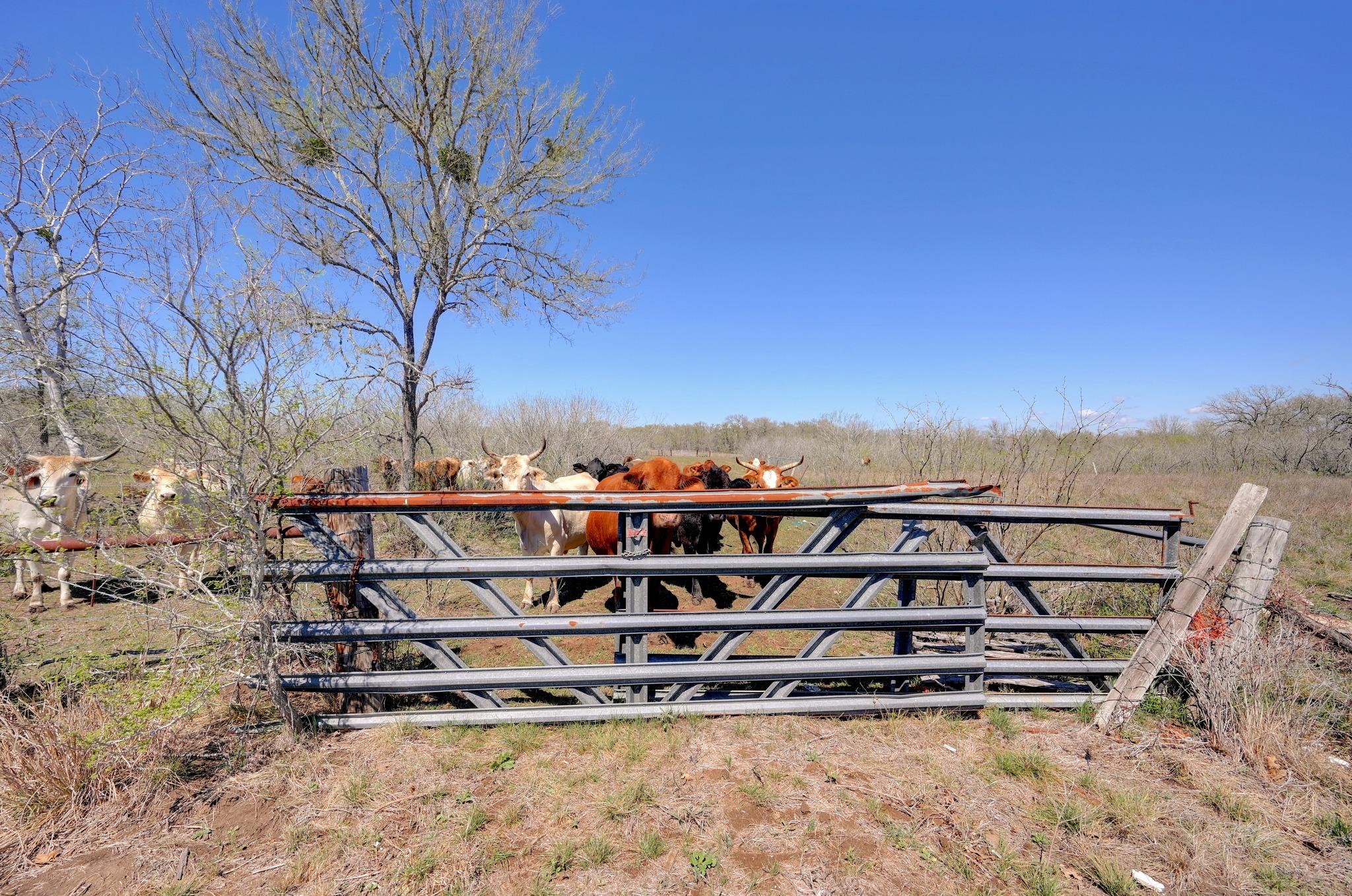 000 Fm 2814 Waelder TX 78959