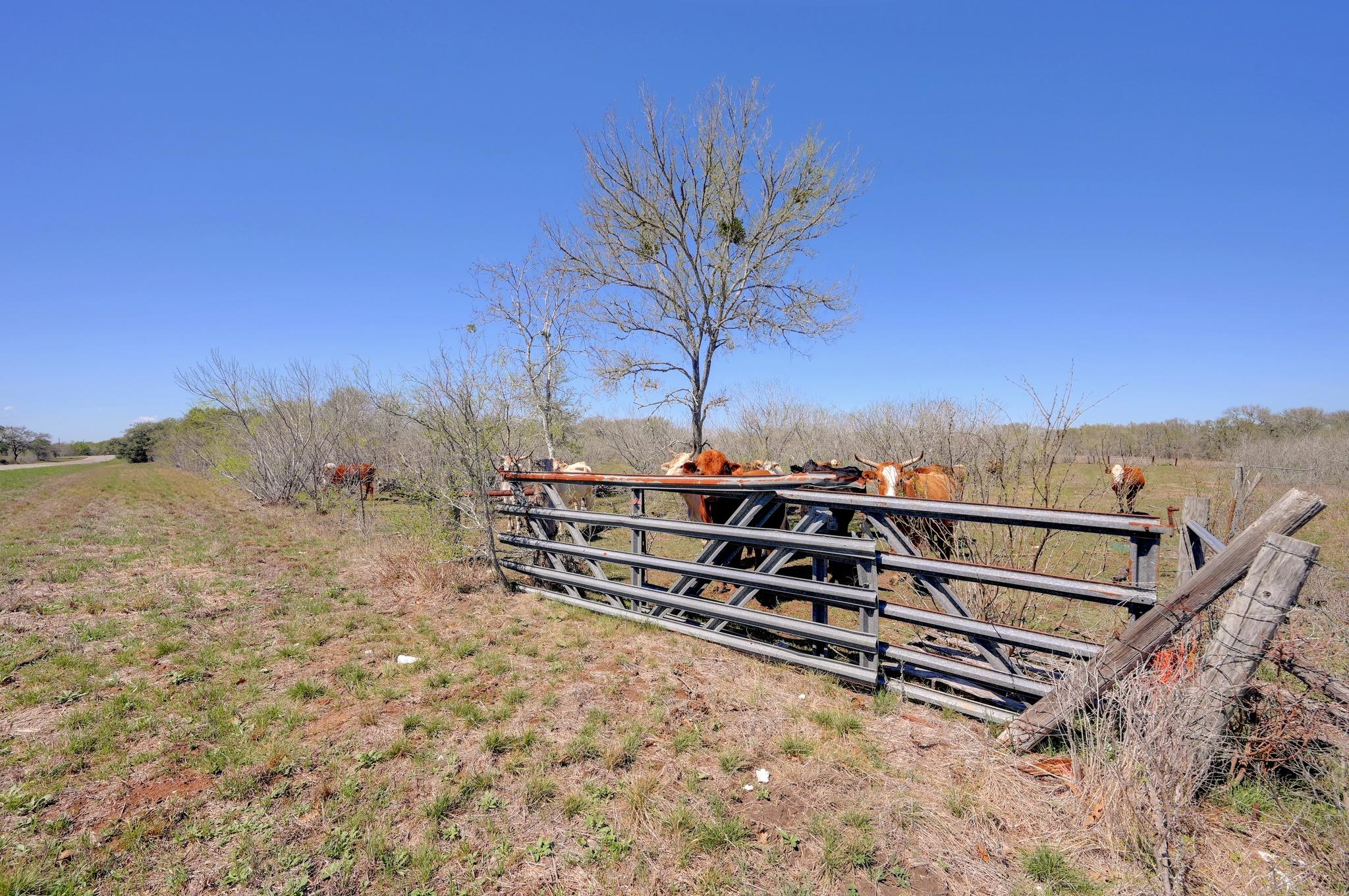000 Fm 2814 Waelder TX 78959