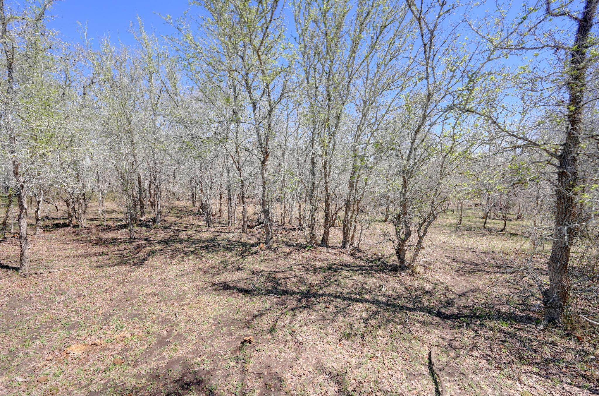 000 Fm 2814 Waelder TX 78959