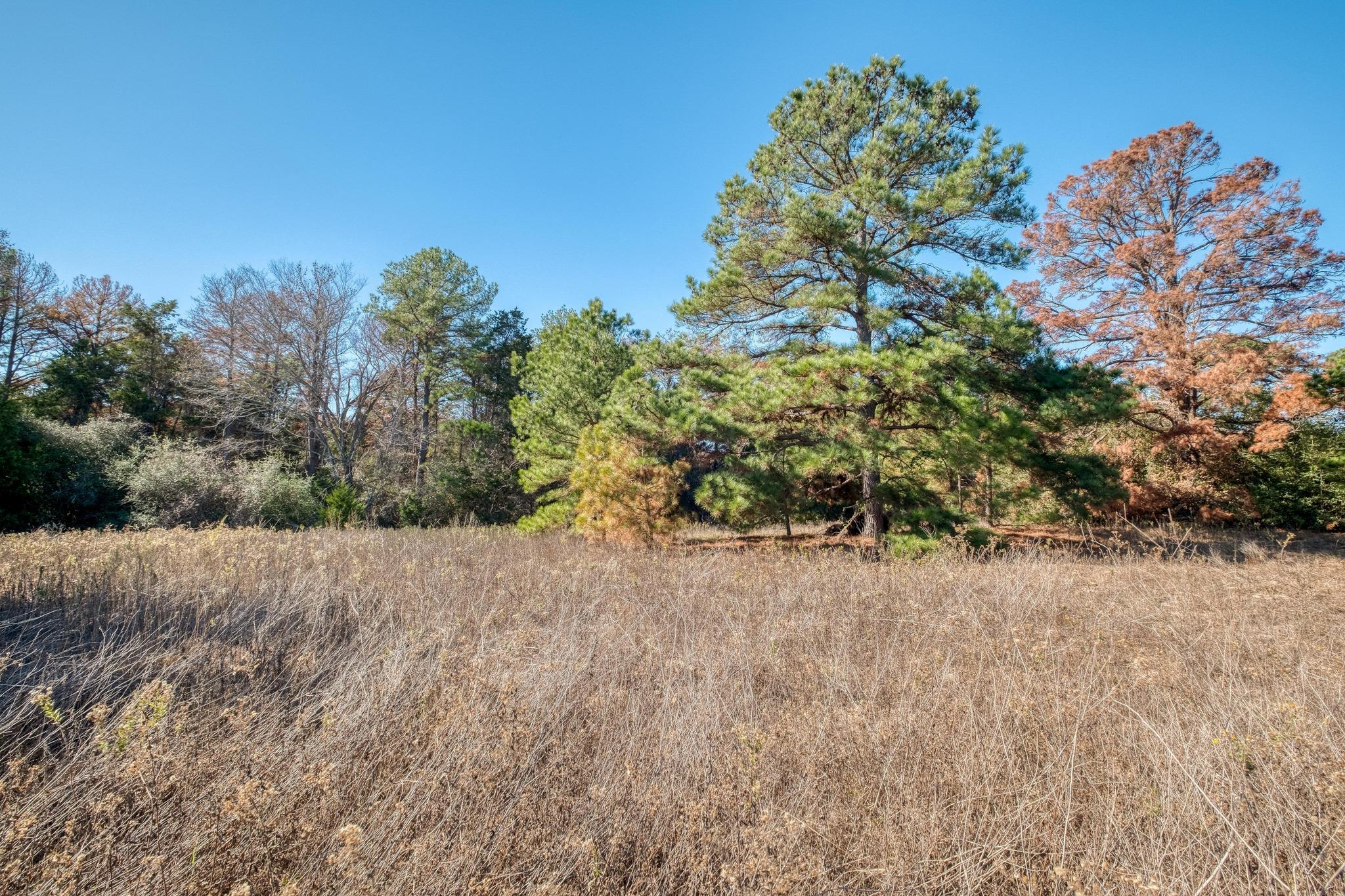 000 Dunbar Road (Tract 3) Road Mcdade TX 78650