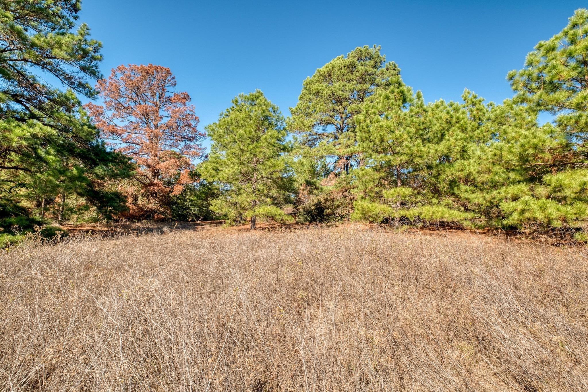 000 Dunbar Road (Tract 3) Road Mcdade TX 78650