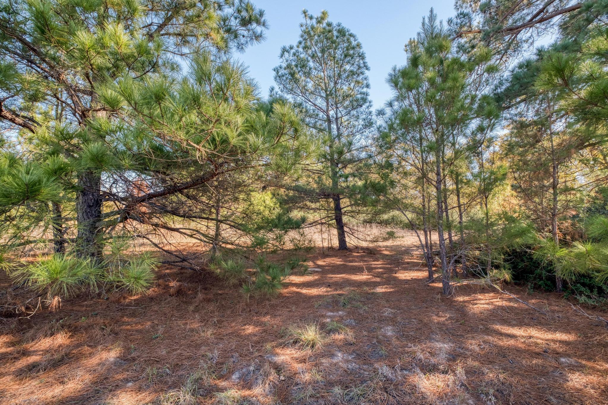 000 Dunbar Road (Tract 3) Road Mcdade TX 78650